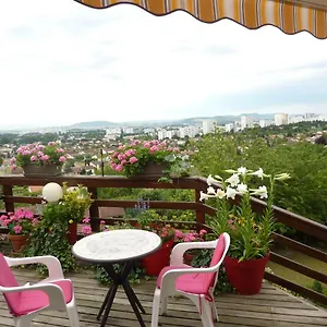  Appartement Joli Petit Sur Les Côtes De Cébazat/clermont Ferrand France